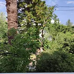 Dolphin Lejlighedshotel 3*
